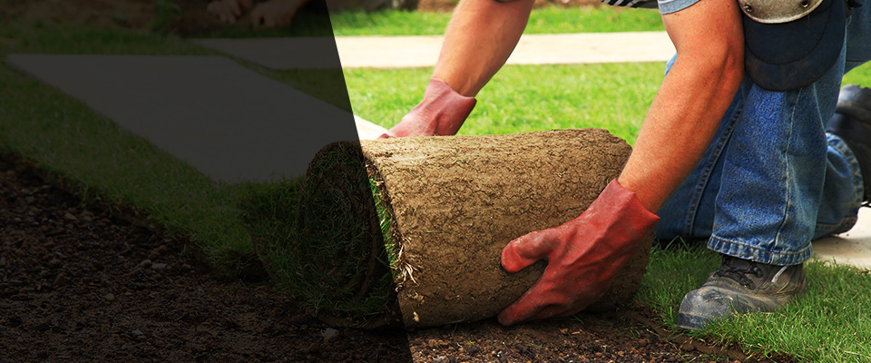 Wynnewood Landscapers